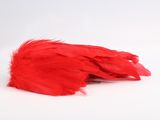 a red bird that is laying down on a white surface