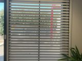 des stores dans un bureau, avec une plante en pot devant une fenêtre