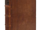 Photo 7/7 du lot