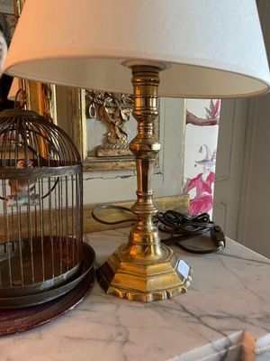 un chat assis sur une table, à côté d'une lampe et d'une cage à oiseaux