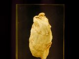 an image of a glass box with a piece of food inside of it