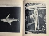 an open book with a picture of a shark and a man holding a fish