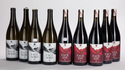 six bouteilles de vin sont alignées sur une surface blanche