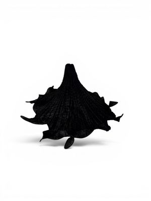 a black leaf that is sitting on a white surface