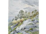 watercolor painting of rocks and trees on a hillside