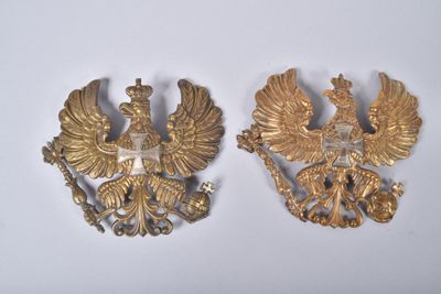 paire de deux broches représentant des aigles dorés sur fond blanc
