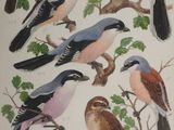 many birds that are sitting on the branches of a tree