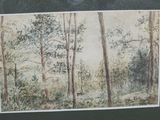 a picture of a picture of a painting of a forest
