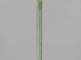 an image of a glass vase with a green stick in it