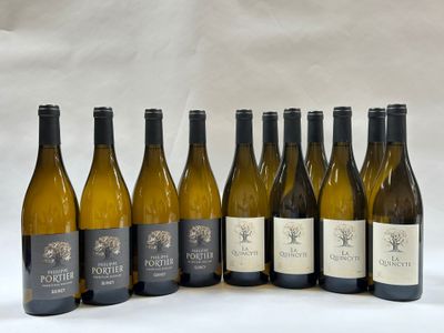 six bouteilles de vin alignées sur un fond blanc