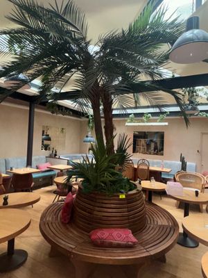 des tables et des chaises dans un restaurant avec un palmier au centre