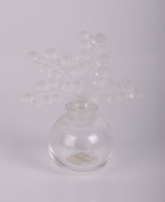 un vase en verre contenant un peu d'eau