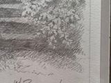 drawing of a tree in a field with a bench in the foreground