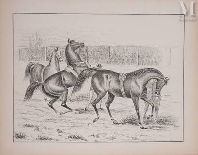 un dessin représentant deux hommes à cheval dans un enclos