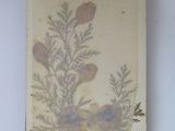 a small book with a picture of a plant on it