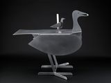 a bird that is sitting on top of a table