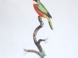 painting of a colorful bird perched on a branch of a tree
