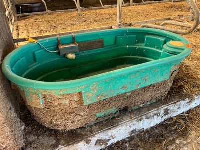 un bac vert rempli d'eau posé dans une grange