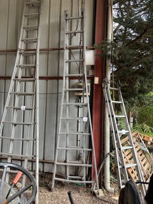de nombreuses échelles appuyées contre la façade d'un immeuble