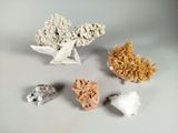 five different types of rocks on a white surface