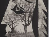 a black and white photo of a bird flying over a tree