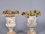 two vases with plants in them sitting on a table