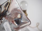 someone is holding a glass object with a butterfly inside of it