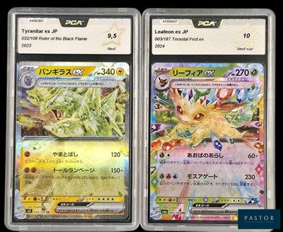deux cartes Pokémon dans des pochettes en plastique, posées sur une surface noire