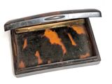 an image of a cell phone with a tortoise shell in it