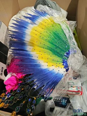 a box with a colorful feather headdress in it