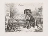 a black and white drawing of a dog sitting on the ground