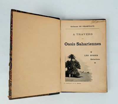an open book with a picture of a palm tree on it