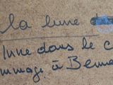 Photo 4/4 du lot