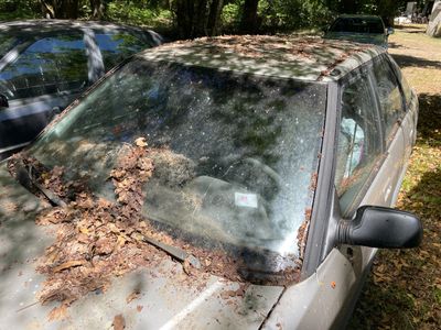 une voiture dont le pare-brise est recouvert de feuilles mortes