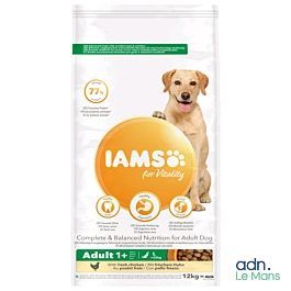 Croquettes pour chiens adultes de grande race Iams