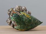 a close up of a green and yellow shell on a table