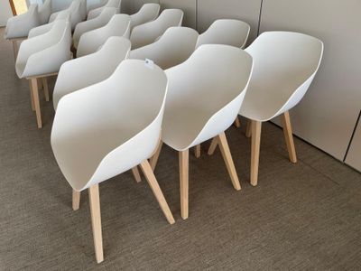 many white chairs lined up in a row in a room