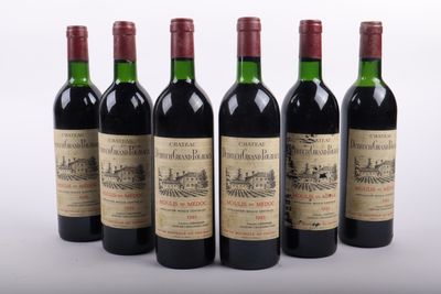 six bouteilles de vin alignées sur une surface blanche