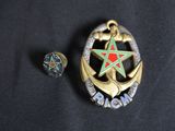 an image of a badge with a star on it next to a pin