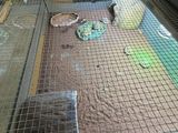 une table en verre sur laquelle est posé un bac à sable