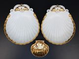 une paire de coquilles Saint-Jacques blanches et dorées sur fond noir