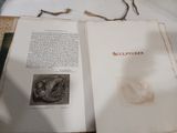 un livre ouvert sur lequel figure l'image d'une grenouille