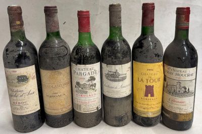 six bouteilles de vin sont alignées sur une surface blanche