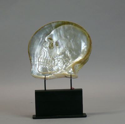 a close up of a sculpture of a shell on a wooden base