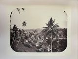 a black and white photo of a village with palm trees in the foreground