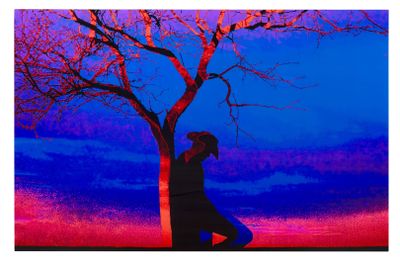 Jonathan Bermudes (Né en 1983)