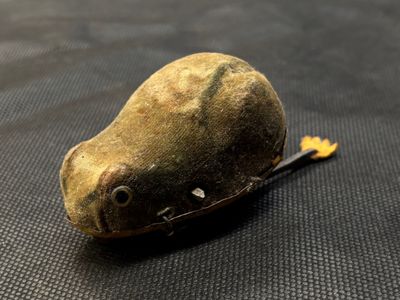 a small rock with a leaf sticking out of it
