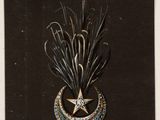 an image of a picture of a star and a feather on a black background