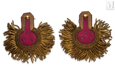 pair of pink and gold earrings with gold fringes on a white background