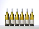 six bottles of white wine lined up in a row